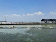 景点-滆湖低碳生态公园
