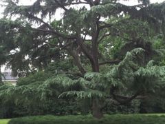 android_upload_pic-上海虹桥迎宾馆