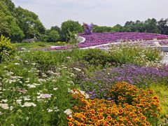 -上海鲜花港