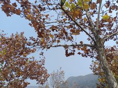 -北京十三陵国家森林公园蟒山景区