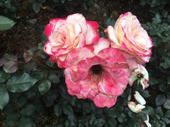 -人民公园(罗湖区)