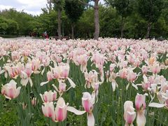 -长春公园(普阳街道)