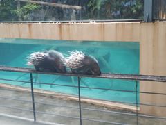 -清迈夜间动物园