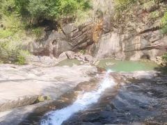 -广州白江湖森林公园