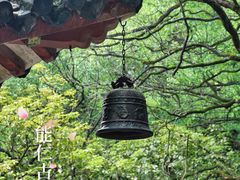 -广州市白云山风景名胜区