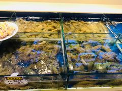 -大连湾旭日饭店(大连湾店)