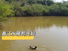 -罗三妹山