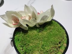 -老太原菜馆(万达店)