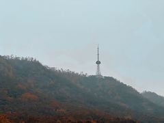 -大雁山风景区