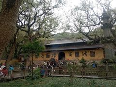 -普陀山风景名胜区-法雨禅寺