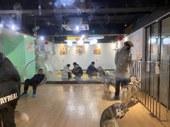 -Husky Go! 哈士奇体验馆·宠物咖啡厅狗咖
