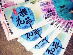 -天适樱花悠乐园