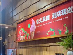 -野人先生现做冰淇淋(北京顺义祥云小镇店)