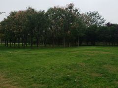 -汉长安城未央宫国家考古遗址公园