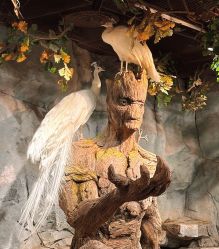 -Zoolung Zoolung动物主题公园(海信广场店)