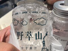 -野萃山·潮汕厚果汁(十亩地店)