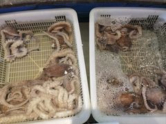-万盛合(渔人码头店)