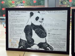-都江堰中华大熊猫苑
