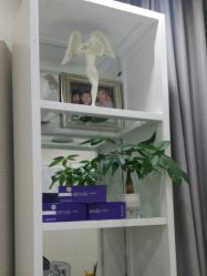 点击看大图 -伊丽莎白医疗美容