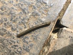 -敬亭山风景名胜区