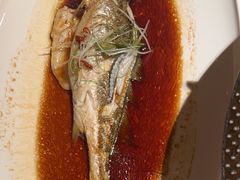 -宝轩渔府·老字号海鲜·正宗津菜(水上店)