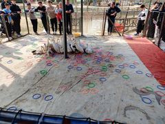 -武汉紫薇都市田园