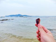 -海源公园