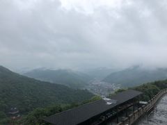 -黄贤森林公园
