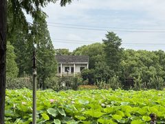 -乌村