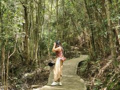-天龙顶山地公园