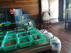 -浩运海鲜·16年专注青岛菜(石老人店)