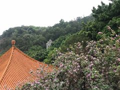 -南沙天后宫景区