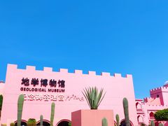 -漳州滨海火山岛自然生态风景区