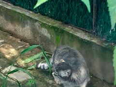 -青藏高原野生动物园