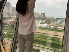 -影汇之星8字形摩天轮
