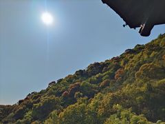 -杭州半山国家森林公园