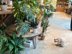 -自由生长植物工作室(深港花卉中心店)