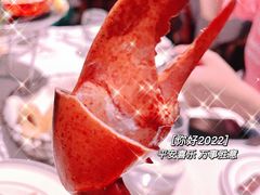 龙虾鸡尾酒-Wolfgang’s Steakhouse 沃夫冈牛排馆(上海白玉兰广场店)