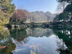 -中国茶叶博物馆(双峰馆区)