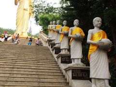 -西双版纳勐泐文化旅游区