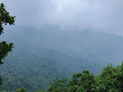-白草畔自然风景区