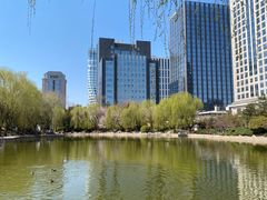 -团结湖公园