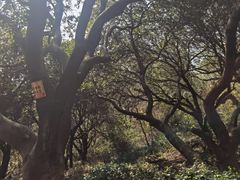 -南北湖风景区
