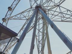 -墨尔本之星 观景摩天轮