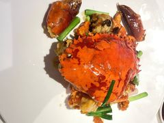 -侨美食家·40年地道粤菜(珠江新城店)