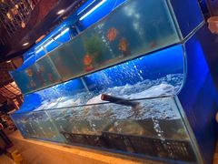 水产区-芭菲盛宴·环球美食(北城国际店)