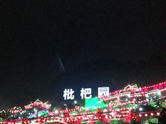 -枇杷园食为鲜火锅(南山店)