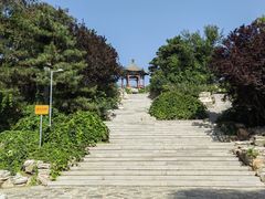 -大兴滨河森林公园