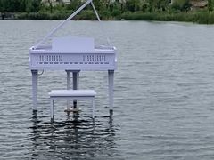 -杭州湾海上花田景区