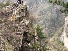 -牛背梁国家森林公园